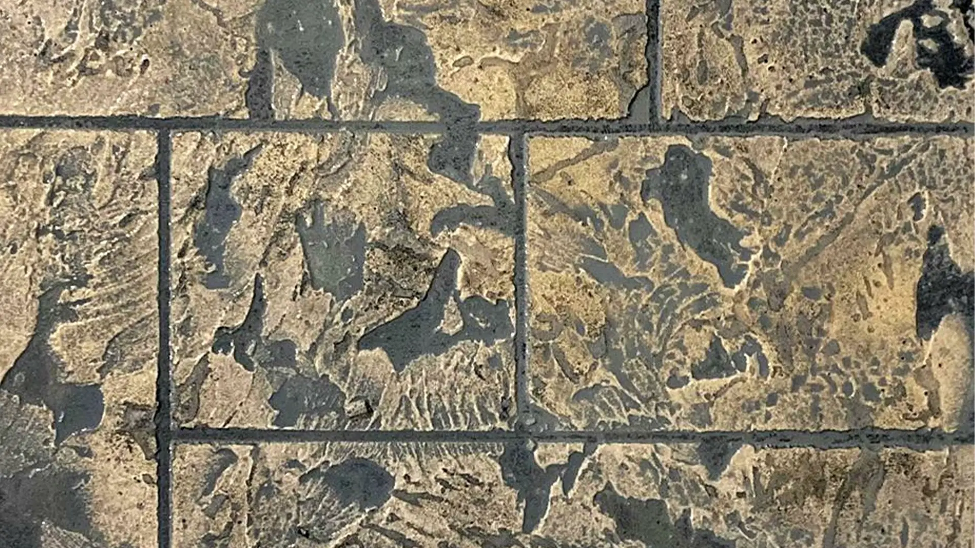 CP_Ashlar-Slate-Closeup.webp